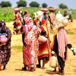 2023-08-02T122343Z_1583658533_RC2KF2A3GOE0_RTRMADP_3_SUDAN-POLITICS-CHAD-REFUGEES