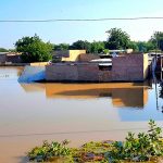 2022-10-31T090037Z_1237860985_RC2V0X9QKWS6_RTRMADP_3_AFRICA-FLOODS