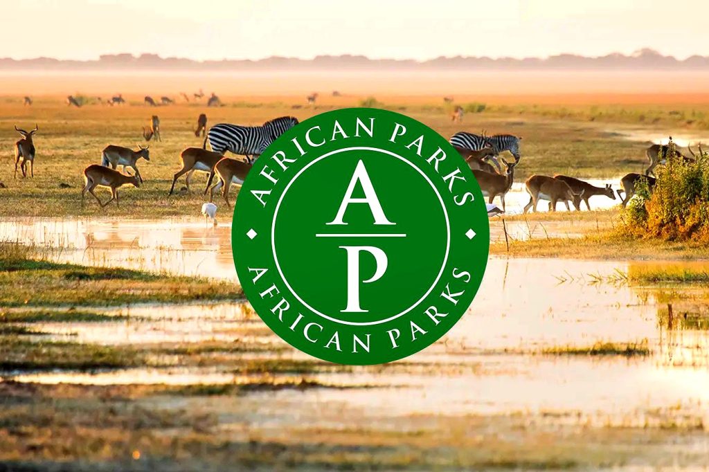 AP