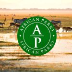 AP